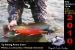 resize-of-arctic-char-27-2010