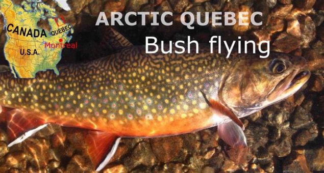 4 Presentations That Work for Small Stream Brook Trout